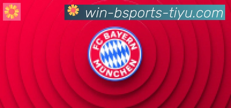 Bsports官网合作伙伴