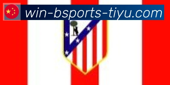 Bsports官网合作伙伴