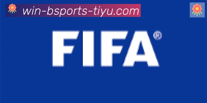 Bsports官网合作伙伴